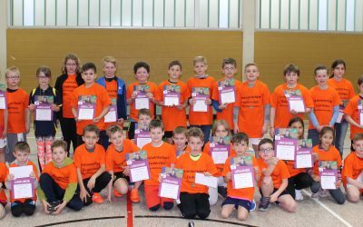 KREISENTSCHEID DER MINIMEISTERSCHAFTEN 2019