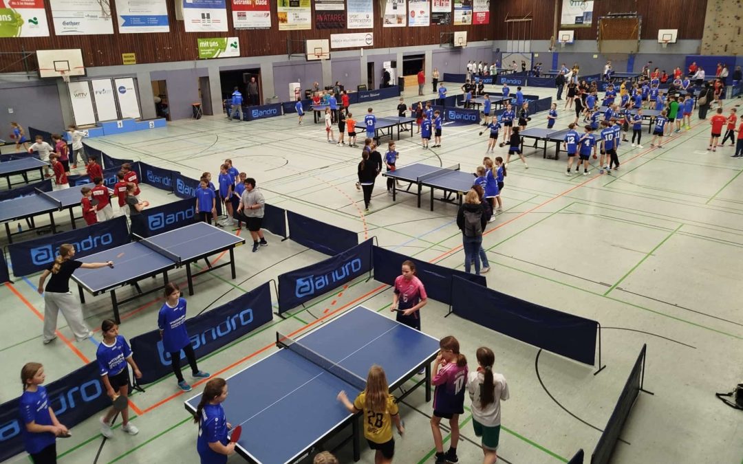 BEZIRKSTURNIERE MILCHCUP 2026